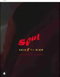 Salle ft. T.I Blaze — Soul