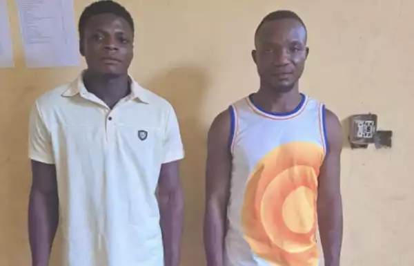 Hotelier, one other arrested for car theft