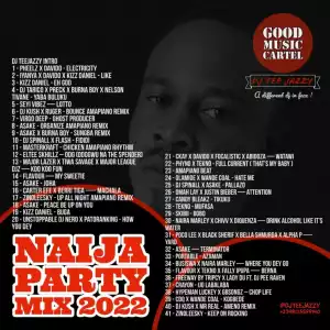 DJ Tee Jazzy – Naija Party Mix 2022