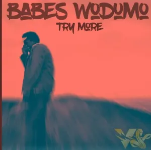 Try More – Babes Wodumo