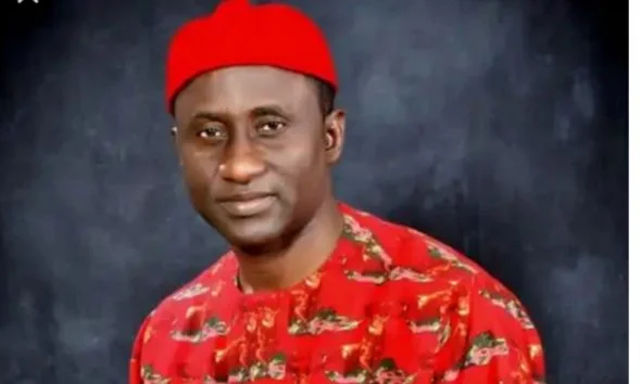 Nothing meaningful happens in society without input of women- APC Chieftain, Ogah