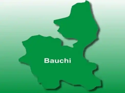 Teenage herder cuts off Bauchi farmer’s hand