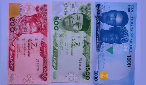 Deadline For The Return Of Old Naira Notes Remains January 31 - CBN Insists