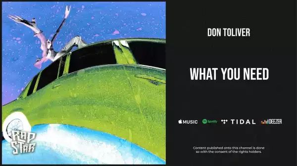 Don Toliver – What You Need