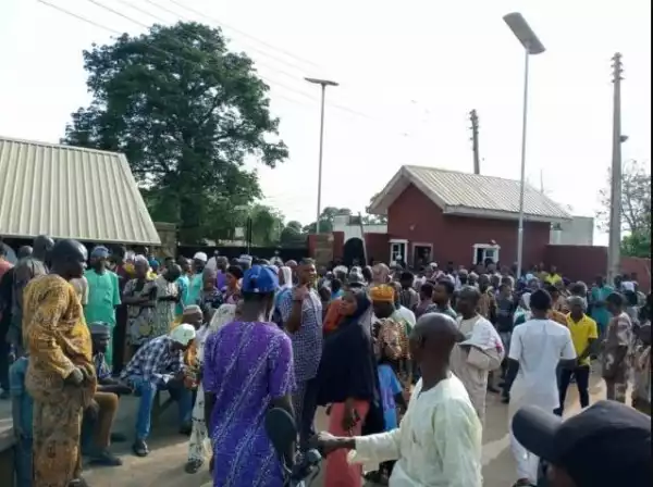Drama As Bees Attack Mourners At Alaafin’s Palace
