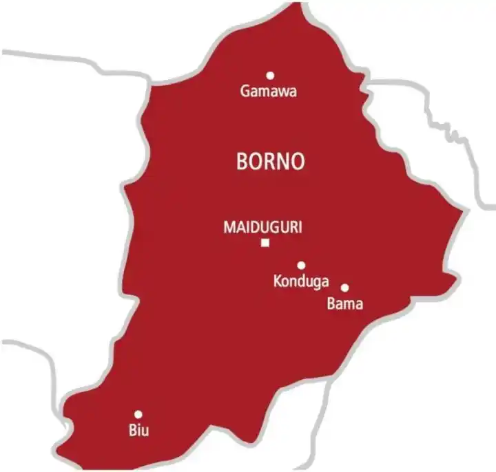 Troops ambush and eliminate six Boko Haram terrorists