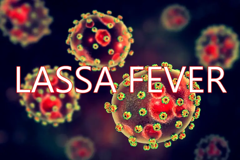 Lassa fever: Ondo records 106 cases, 8 deaths