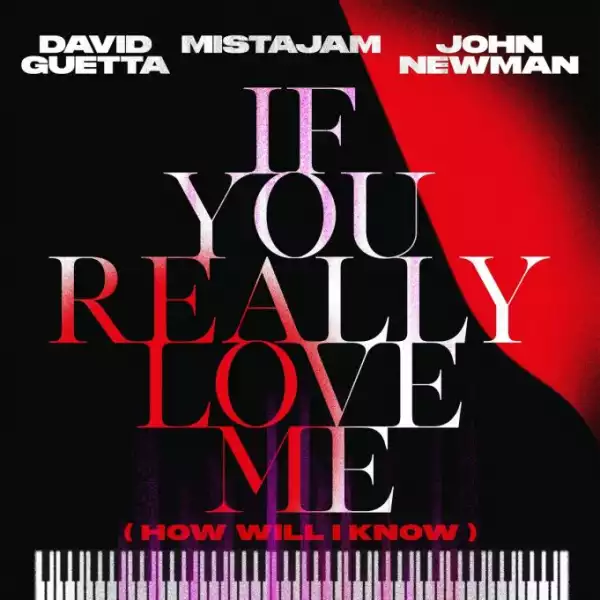 David Guetta Ft. Mistajam & John Newman – If You Really Love Me (How Will I Know)