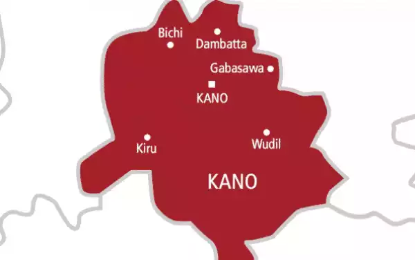 Kano Govt Bans Movies Showing Kidnapping, Drug Addiction