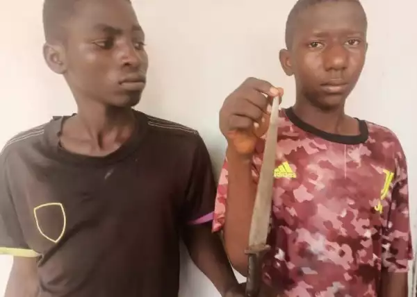 Teenage Phone Snatchers Apprehended In Yola