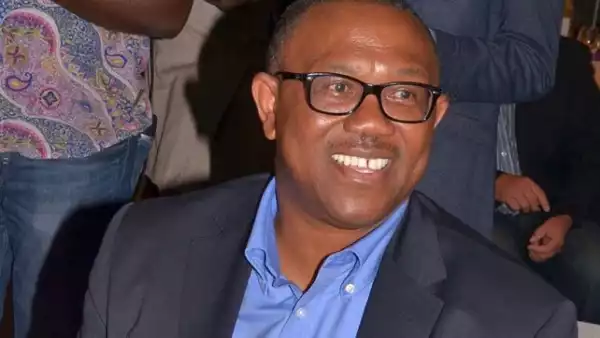 Peter Obi Cautions FG Against Further Borrowings