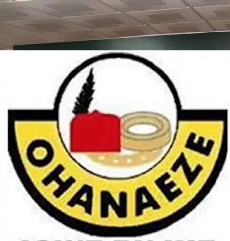 Ohaneze urges FG to intervene in ethnic profiling of Igbos