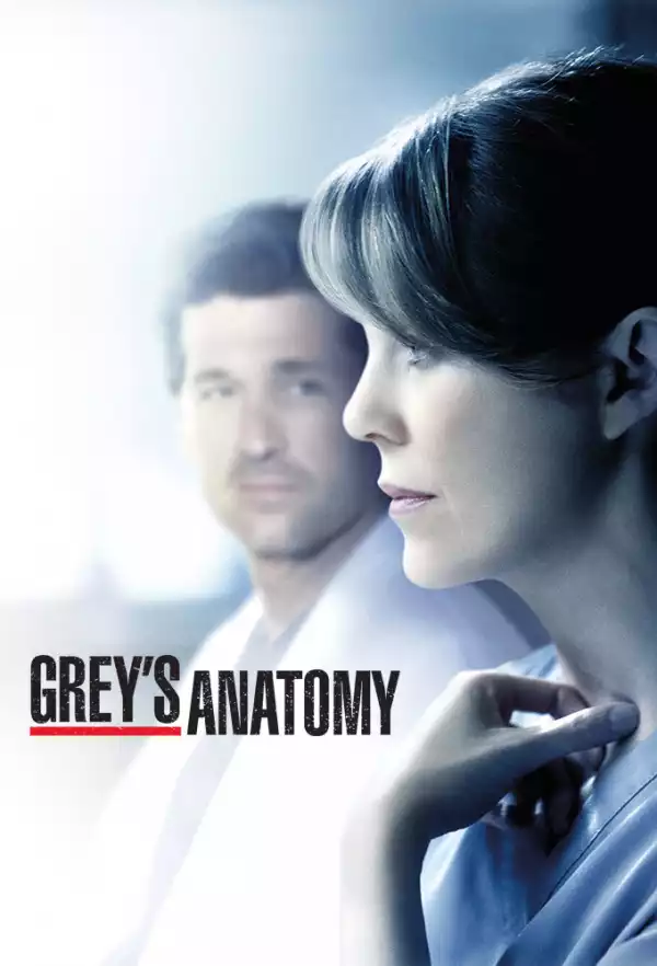 Greys Anatomy S19E17