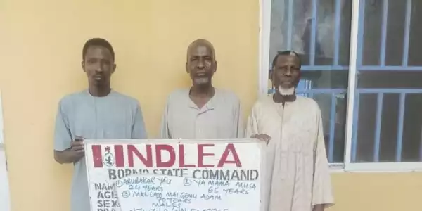 Two Nigerian Grandfathers Arrested For Drug Trafficking In Borno (Photo)