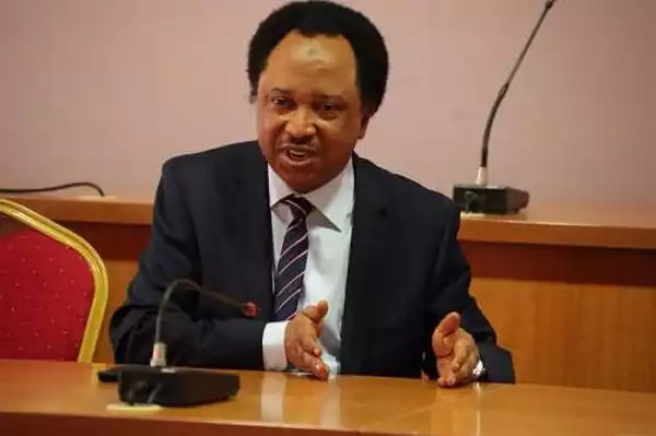 You Are Also Part Of The Autocracy – Shehu Sani Blasts Lawmakers Over Refusal To Lift Ban On Twitter