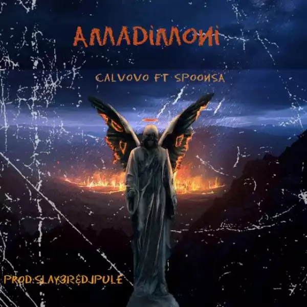 Calvovo & Spoon SA – Amadimoni