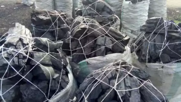 Government Bans Use And Sale Of Charcoal In Nasarawa State