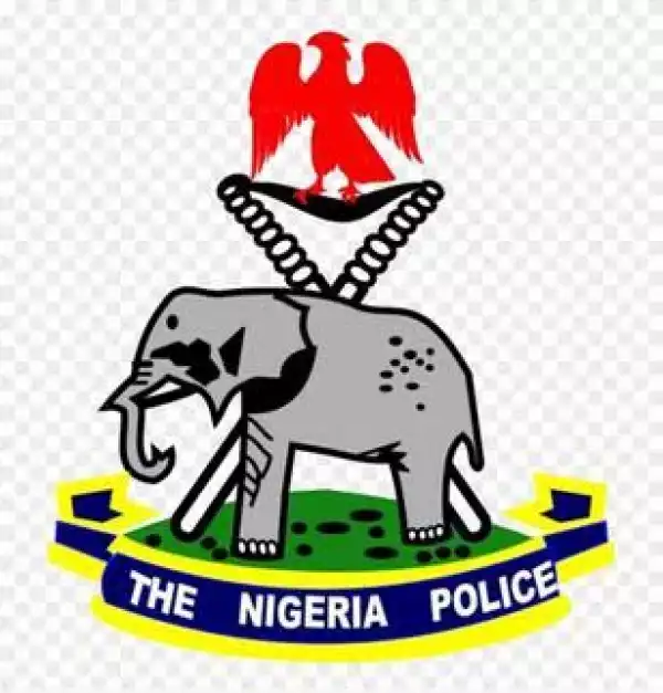 Is Nigerian Police to protect or endanger the citizens?