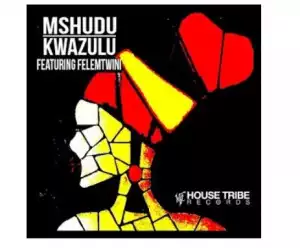 Mshudu – KwaZulu Ft. Felemtwini