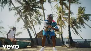 DJ Spinall – Sere ft. Fireboy DML (Video)