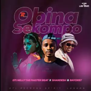 Nelly The MasterBeat – O Bina Sekompo ft. Shandesh & Bayor97