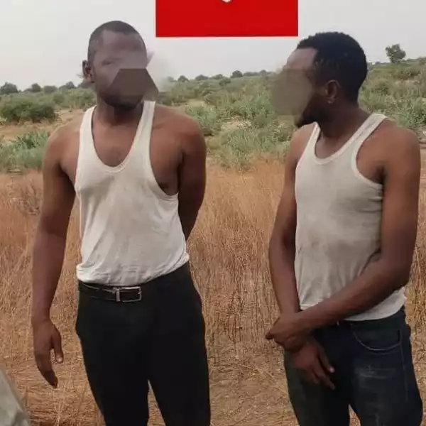 Troops Rescue 2 Of 3 Humanitarian Workers Kidnapped By Terrorists In Gamboru