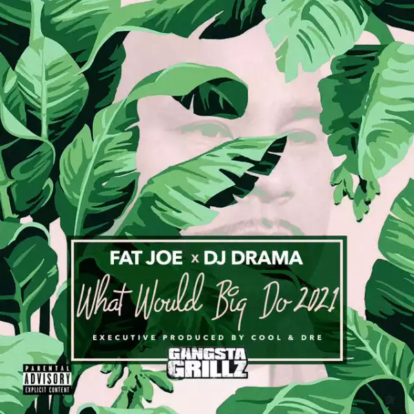 Fat Joe & DJ Drama - Intro ft. CeeLo Green