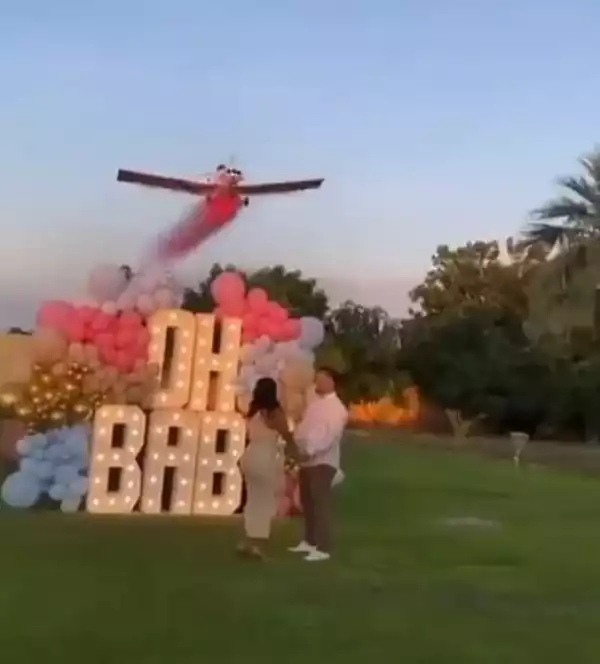Pilot Dies After His Plane Crashed During A Gender Reveal Stunt In Front Of Cheering Guests (Video)