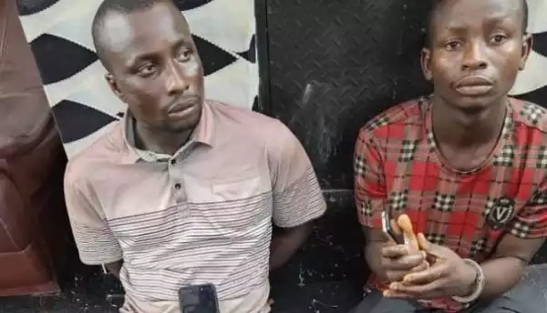 Police Arrest Two Cousins For Murder, Robbery In Ogun