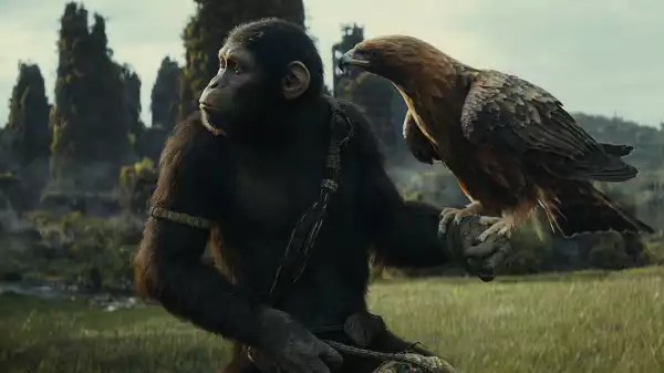 Andy Serkis Offered ‘Nothing But Support’ on Kingdom of the Planet of the Apes