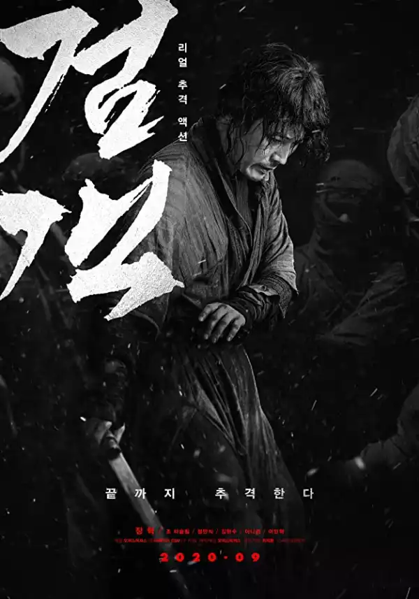 The Swordsman (2020) (Korean)