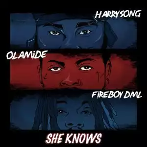 Harrysong Ft. Olamide & Fireboy Dml – She Knows