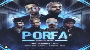 Feid, J Balvin, Maluma, Nicky Jam, Sech & Justin Quiles – PORFA (Remix)