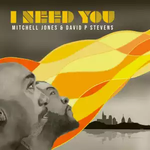 David P Stevens – I Need You ft. Mitchell Jones