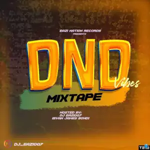 DJ Eazi007 – DND Vibez Mixtape
