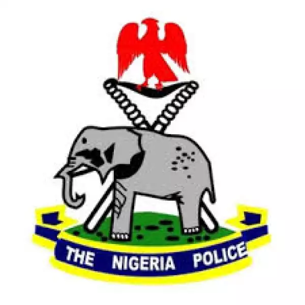 Unmarried Cop Sacked For Getting Pregnant Gets N5m Damages - Career