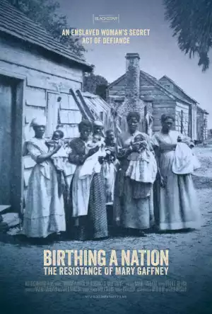Birthing A Nation The Resistance Of Mary Gaffney (2023)