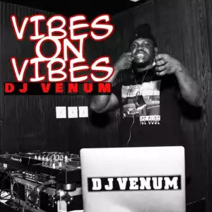 DJ Venum – Vibes On Vibes Mixtape 