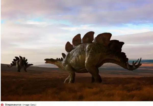 170-Million-Year-Old Stegosaurus Dinosaur Footprints Found On UK Island (Photos)