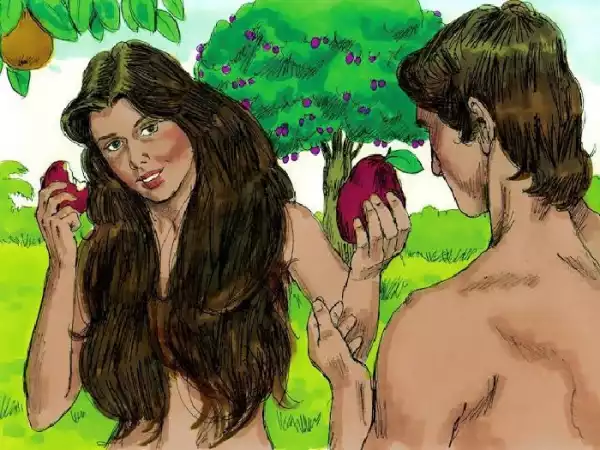 LET’S TALK!! Why Did God Create Adam, Eve With A P*nis & Vag*na? (See This)
