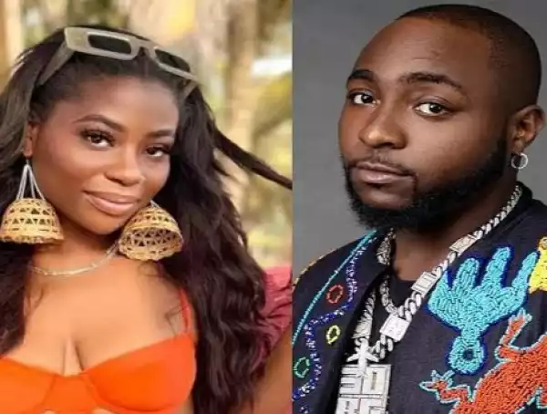 Sophia Momodu Replies Troll Talking About Her Being Jealous of Davido And His Twins
