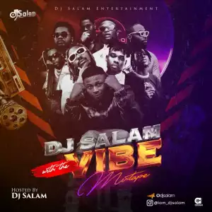DJ Salam – With The Vibes Mix