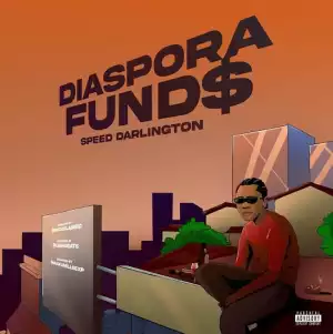 Speed Darlington – Diaspora Funds