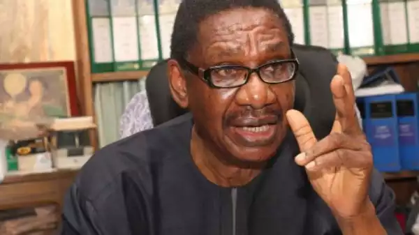 2023: There Are Plots To Keep Presidency In The North – Prof. Sagay