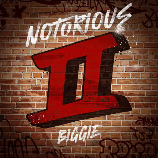 The Notorious B.I.G. - Everyday Struggle