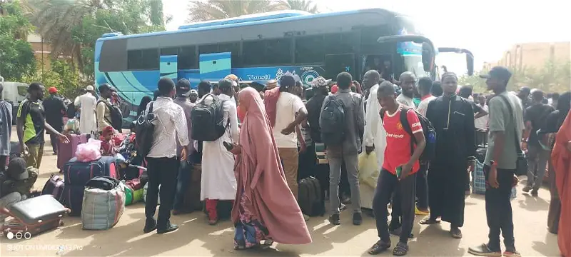 Stranded Nigerians in Sudan leave for Egypt — NiDCOM