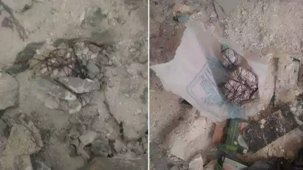 Nigerian Man Shares Photos Of What He Found Under The Tiles Of A House In Lagos