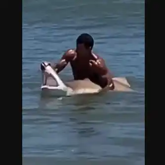 Beachgoers look on in shock as man grabs shark with bare hands on Delaware beach in viral video