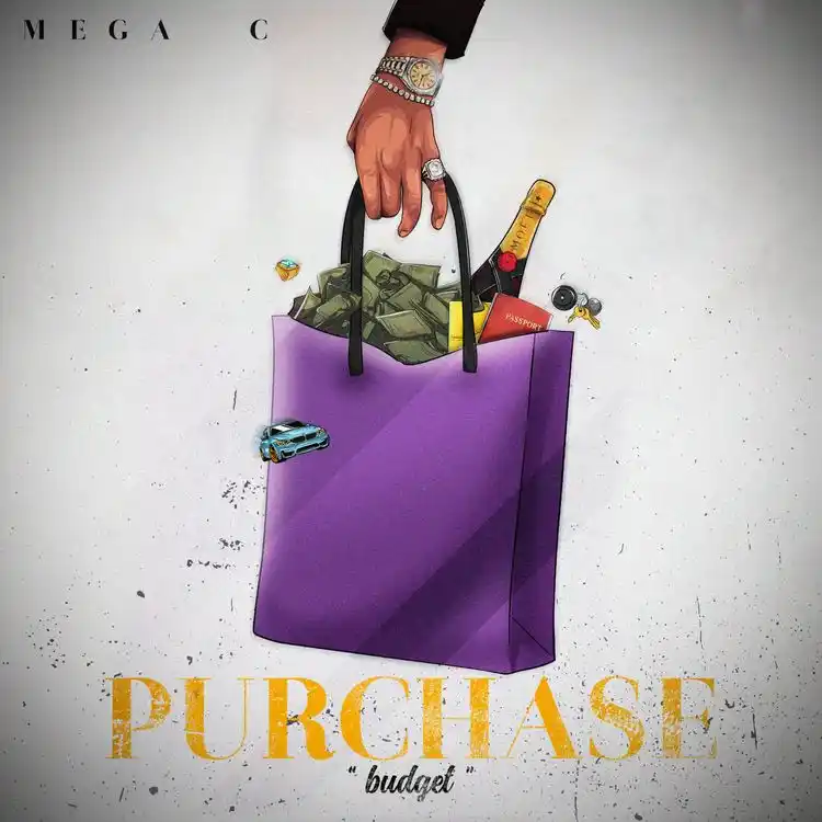 Mega C – Purchase (Budget)