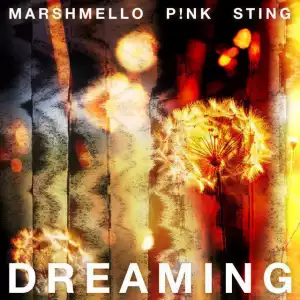 Marshmello Ft. P!nk & Sting – Dreaming